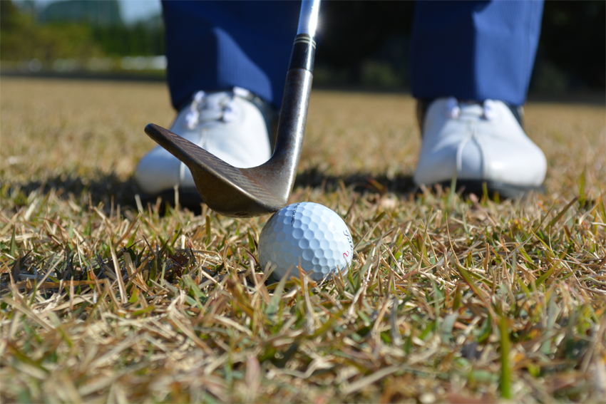 飛距離をのばせるゴルフクラブとは 最適なクラブの選び方 Live出版オンライン Extry