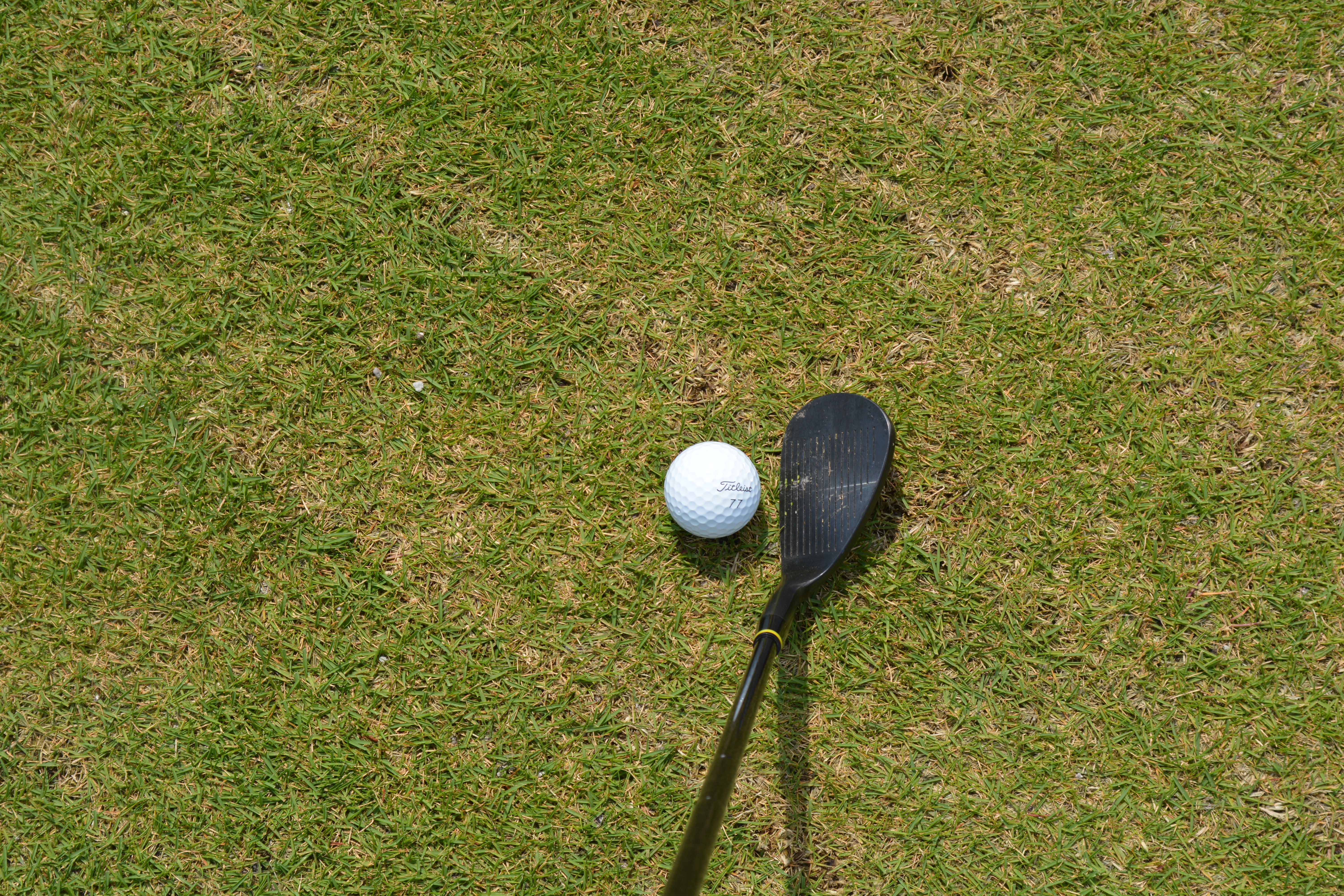 ゴルフクラブ別に飛距離を比較 スコアを上げる練習方法を知ろう Live出版オンライン Extry