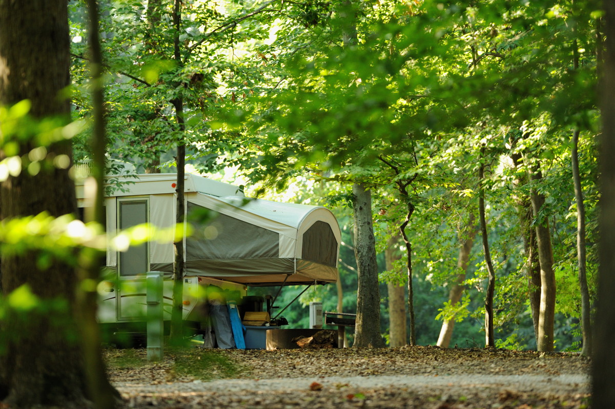 奥多摩のキャンプ場で最大限楽しもう そのメリットとおすすめの施設 Live出版オンライン Extry