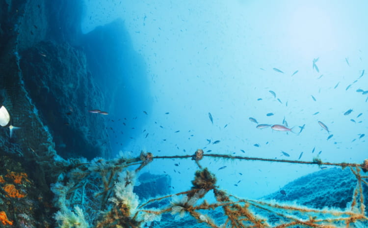 ルアー釣りは、魚の特性を理解して特徴を生かして楽しむ。