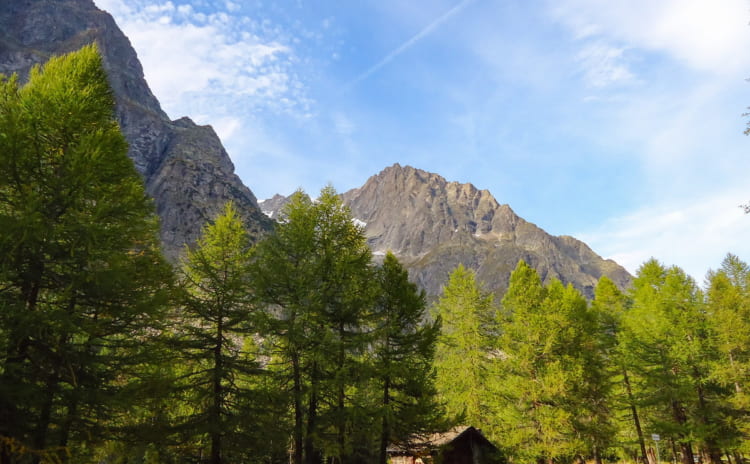 ビギナーでも楽しめる苗場山登山｜おすすめルートや楽しみ方