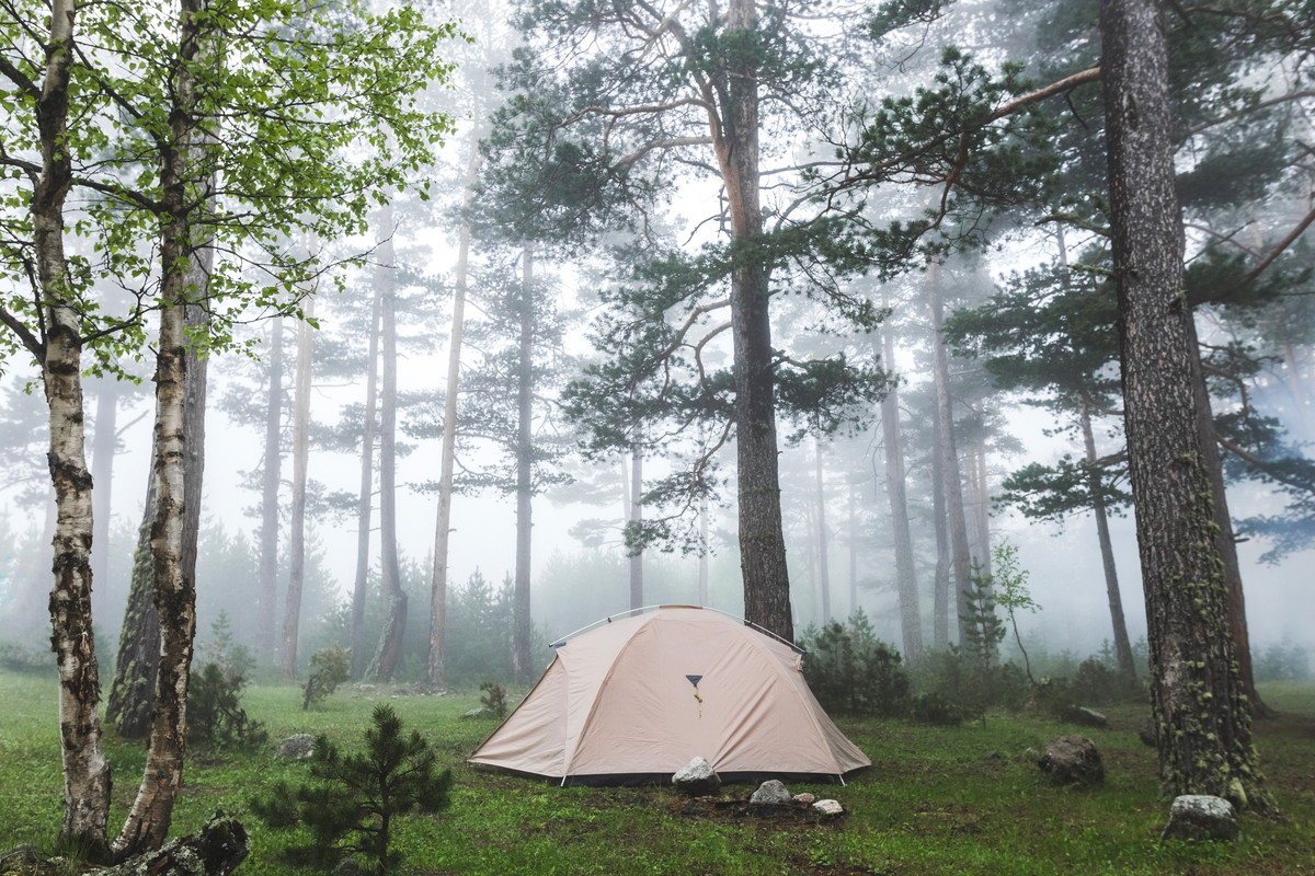 山中湖付近にあるたくさんの自然とおすすめのキャンプ場を紹介