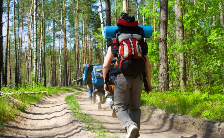 【青葉山】登山も楽しめる人気パワースポットでリフレッシュしよう